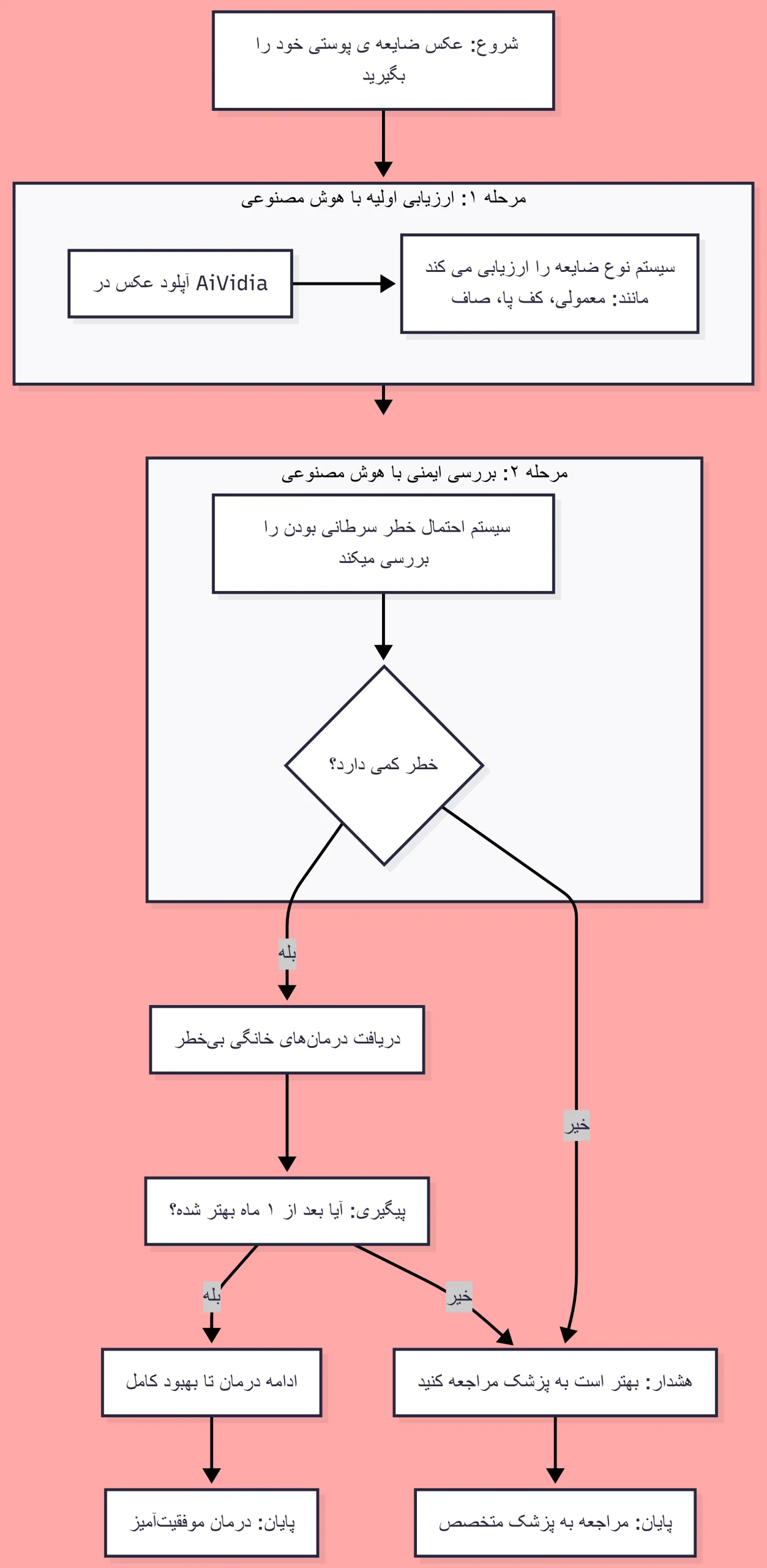 راهنمای پیشنهادی تصمیم‌گیری تشخیص و درمان زگیل بر اساس ظاهر ضایعه